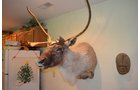Property photo 38 - Personal Property Auction, Tractor & Implements, Cars, Lawn & Garden, Hunting & Fishing, Guns, Antiques & Collectibles, Household